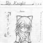 \ Sky Knight \
