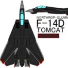 F-14D Tomcat Razgriz