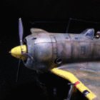 ハセガワ1/48 キ44-II丙 鍾馗 飛行第246戦隊 1944年１２月 フィリピン