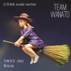 1/24 scale &quot;Witch&quot; 