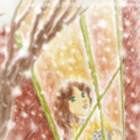 [ A Snowing Day ] @䂫̓