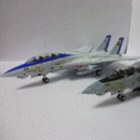 F-14D VF-31&amp;VF-213 SuperTomcat