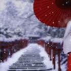 A snowy shrine maiden