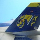 F/A-18Cz[lbg@hS[fEhSY2007h