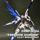 HGCE ZGMF-X10A &quot;FREEDOM GUNDAM&quot;