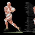 Anatomy of male in rugby playing motion 2