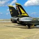 F-14A gLbg &quot;VF-21 t[T[Y&quot;