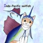 wϐgɂ񂱂̂`abECҁxIndo-Pacific sailfishioVEJWLj