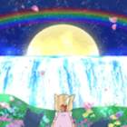 【虹の橋#13】ミミ様、滝にかかる月の虹を見る